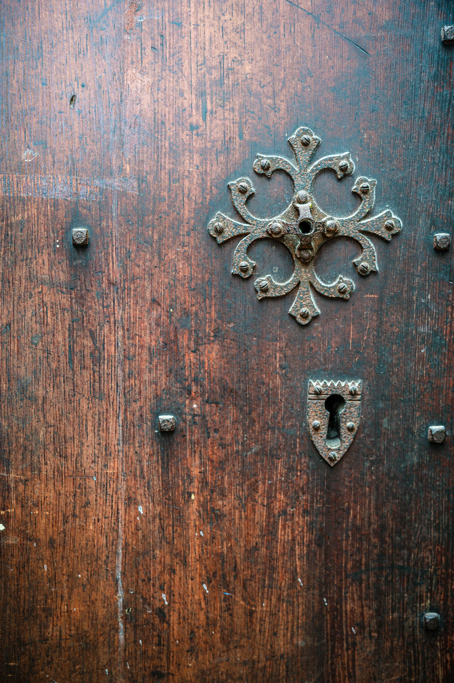 Decorative metalwork on a historic timber door